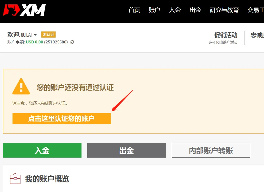 5.webp